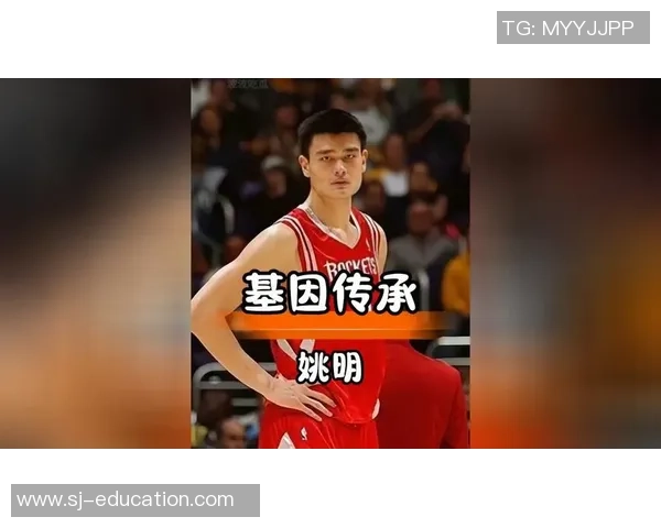 金星与姚明的传奇交汇：体育与娱乐的完美融合之路
